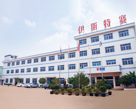 Factory Overview - Modern manufacturing facility exterior and entrance showcasing our professional operations